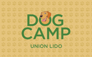 unionlido dog camp